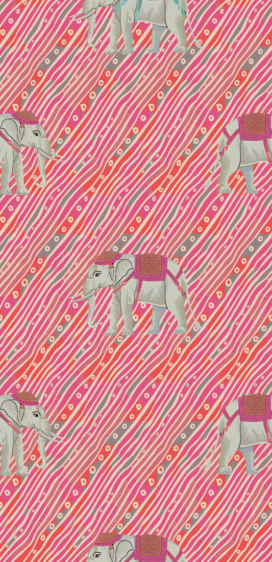 Indian Elephant Stripe Pattern - CC - 9767 - Image 1