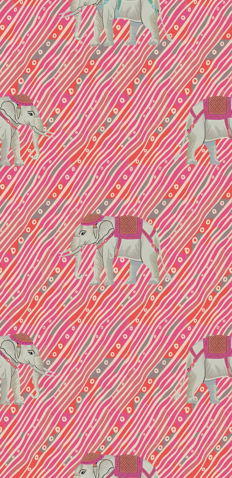 Indian Elephant Stripe Pattern - CC - 9767 - Image 1